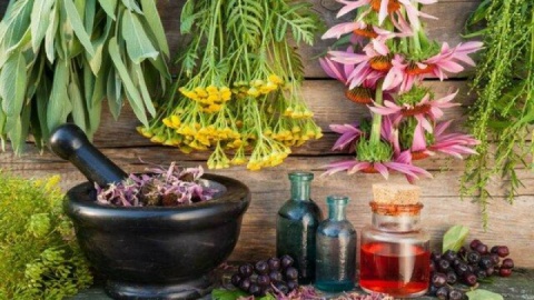 مصرف خودسرانه هر نوع فرآورده گیاهی عوارض دارد