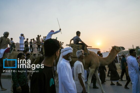 جشنواره «عیش جزیرتی» در روستای دهخدا