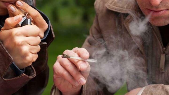 افزایش ۱۰ برابری مصرف مخدر گل در کشور/ ورود مواد روانگردان تقلبی