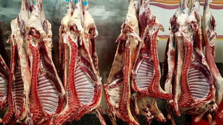 عرضه گوشت قرمز در شهریور ۳۵ درصد افزایش داشت