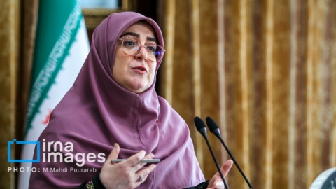 فیلم/ ۷۰۰ کیلوگرم شمش طلای استاندارد وارد کشور شد