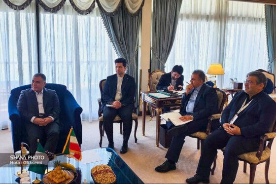 دیدار وزیر نفت ایران با وزیر منابع گازی نیجریه