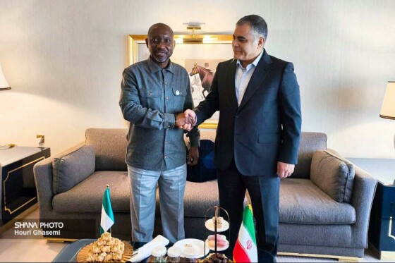 دیدار وزیر نفت ایران با وزیر منابع گازی نیجریه