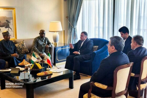 دیدار وزیر نفت ایران با وزیر منابع گازی نیجریه