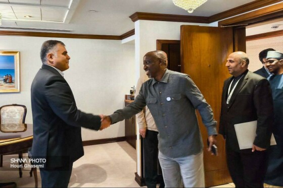 دیدار وزیر نفت ایران با وزیر منابع گازی نیجریه