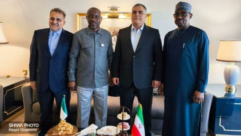 گزارش تصویری/ دیدار وزیر نفت ایران با وزیر منابع گازی نیجریه