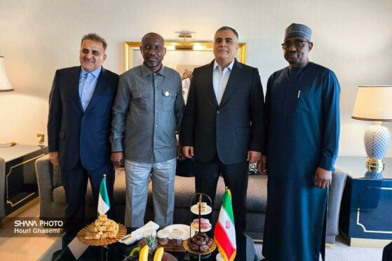 دیدار وزیر نفت ایران با وزیر منابع گازی نیجریه