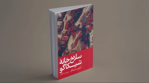 کاپیتالیسم آلوده