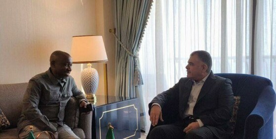 دیدار وزیر نفت ایران با وزیر منابع گازی نیجریه