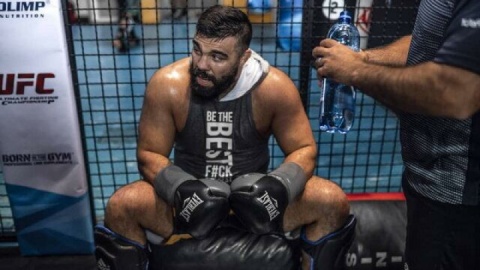 یک مشت تا کمربند