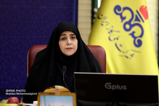 نشست هماندیشی سرمایهگذاری در صنعت گاز