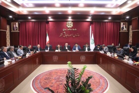 کمیته بهره وری وزارت امور اقتصادی و دارایی