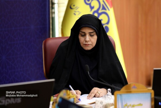 نشست هماندیشی سرمایهگذاری در صنعت گاز