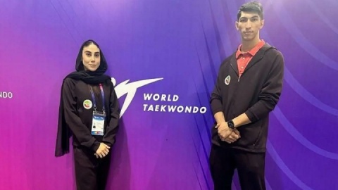 ناکامی نامداران