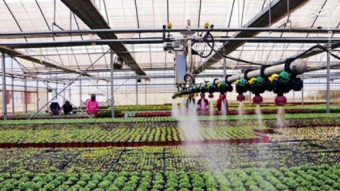 افزایش ۲ برابری بهره‌وری آب با استفاده از فناوری‌های نوین و هوش مصنوعی