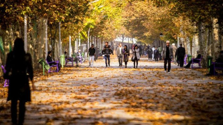 مهمان ناخوانده