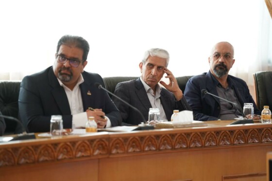 نشست صمیمی سخنگوی دولت در جلسه بهینه‌سازی مصرف انرژی