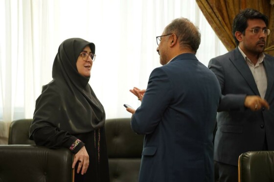 نشست صمیمی سخنگوی دولت در جلسه بهینه‌سازی مصرف انرژی