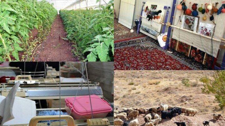 اجرای بیش از ۳۰ هزار طرح اشتغال‌زایی در مناطق محروم توسط ستاد اجرایی فرمان امام