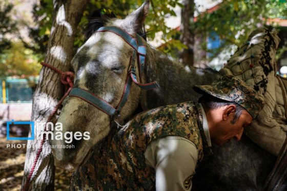 یک روز با محیطبانان پایگاه «وارنگه‌رود»