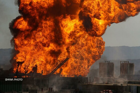 حماسه رگسفید در قاب تصویر