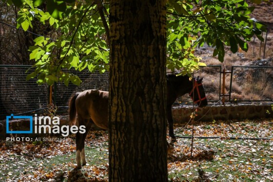 یک روز با محیطبانان پایگاه «وارنگه‌رود»