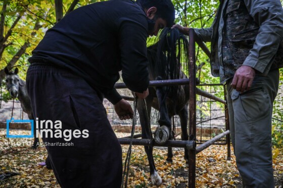 یک روز با محیطبانان پایگاه «وارنگه‌رود»