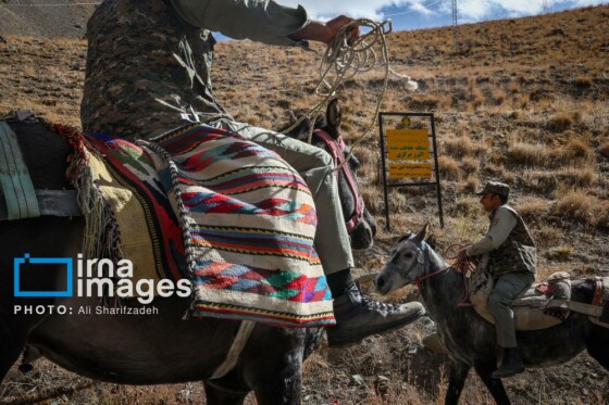 یک روز با محیطبانان پایگاه «وارنگهرود»