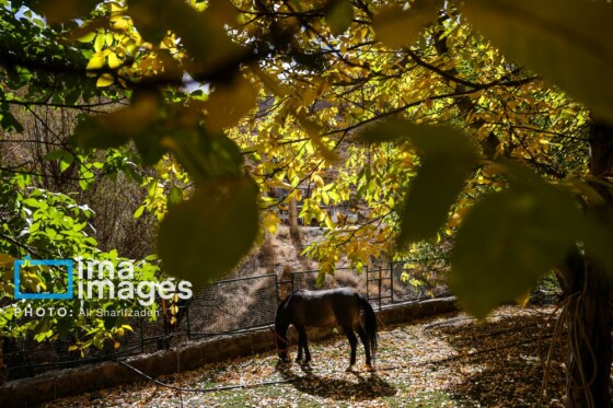 یک روز با محیطبانان پایگاه «وارنگه‌رود»