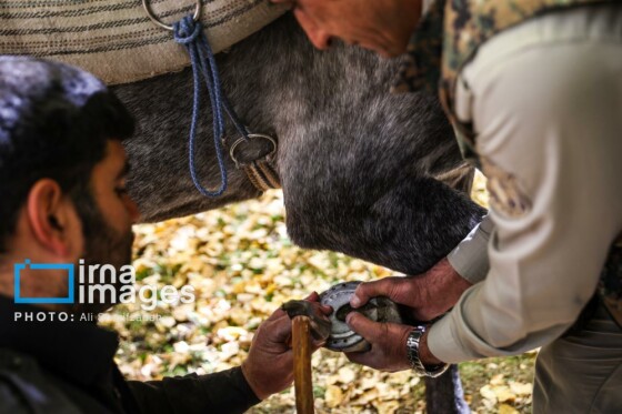 یک روز با محیطبانان پایگاه «وارنگه‌رود»