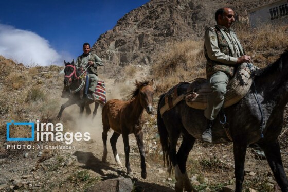 یک روز با محیطبانان پایگاه «وارنگه‌رود»