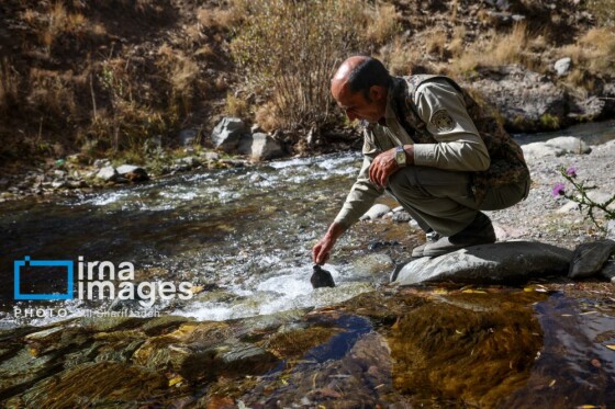 یک روز با محیطبانان پایگاه «وارنگهرود»