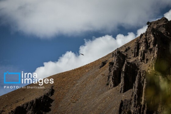 یک روز با محیطبانان پایگاه «وارنگه‌رود»