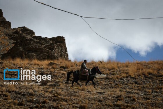 یک روز با محیطبانان پایگاه «وارنگهرود»