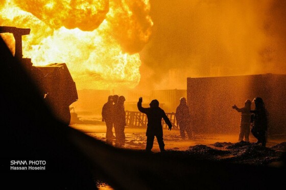 حماسه رگ‌سفید در قاب تصویر