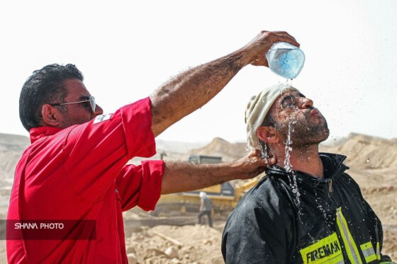 حماسه رگ‌سفید در قاب تصویر