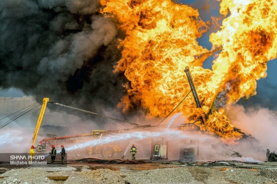 حماسه رگ‌سفید در قاب تصویر