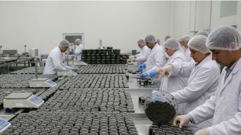 چشمانداز ۱۰ هزار تنی تولید خاویار در گیلان