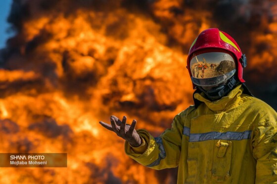 حماسه رگ‌سفید در قاب تصویر
