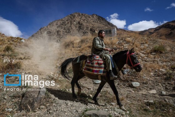 یک روز با محیطبانان پایگاه «وارنگهرود»