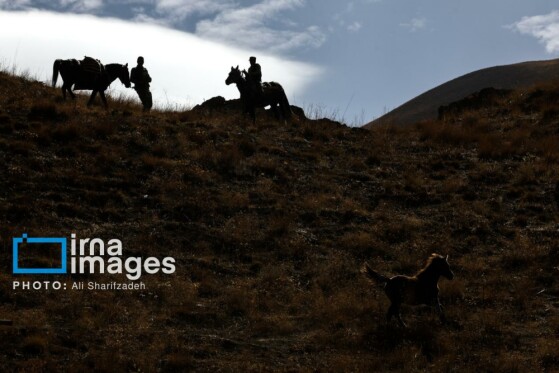 یک روز با محیطبانان پایگاه «وارنگهرود»