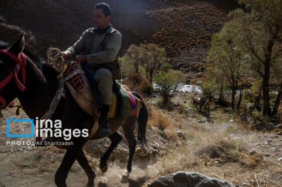 یک روز با محیطبانان پایگاه «وارنگه‌رود»