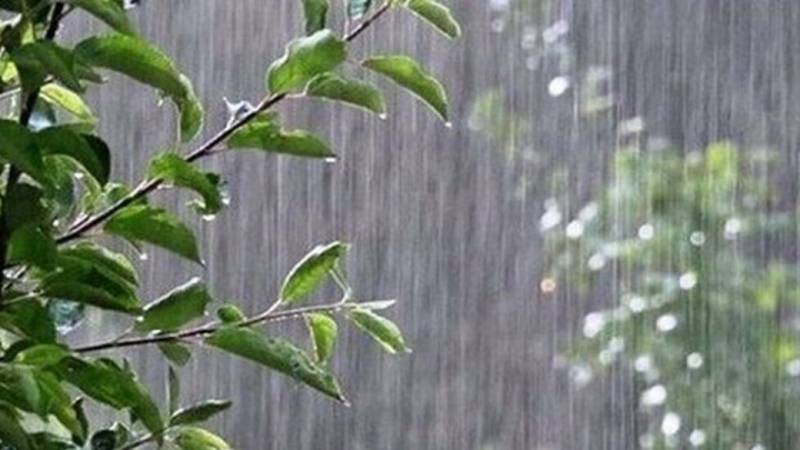 نوار شمالی کشور بارانی می‌شود