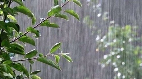 نوار شمالی کشور بارانی می‌شود