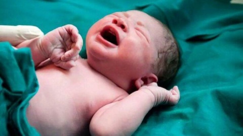 ثبت بیش از نیم میلیون تولد در ۷ ماه نخست ۱۴۰۴