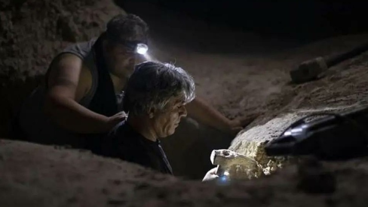 «رویاباف و قاضی» اکران آنلاین می‌شود