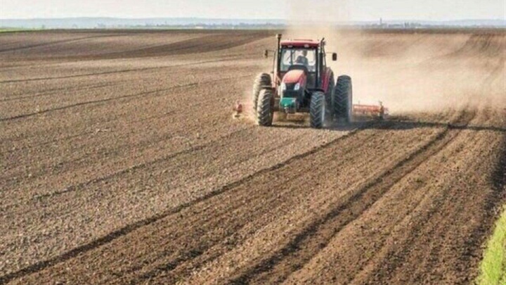 تردید کشاورزان برای کشت پاییزه