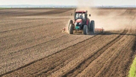 تردید کشاورزان برای کشت پاییزه