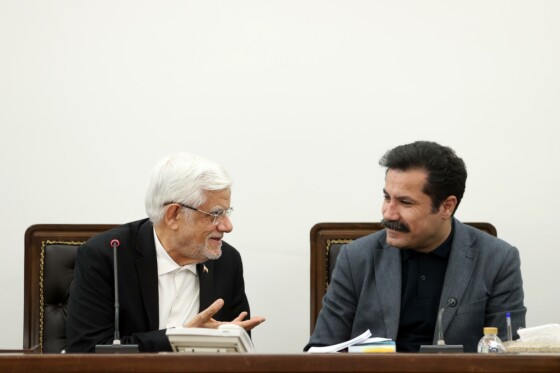 جلسه معاون اول رئیس جمهور با جمعی از صاحب‌نظران امور عشایری کشور