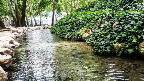 هرسین، باغ‌شهری که زیر سایه گردو نفس می‌کشد